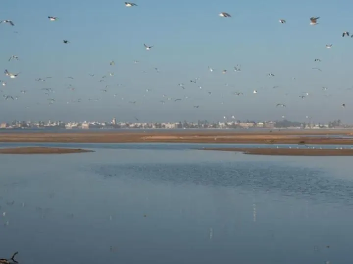 Tigmi Anis Bed and Breakfast Essaouira Marocko
